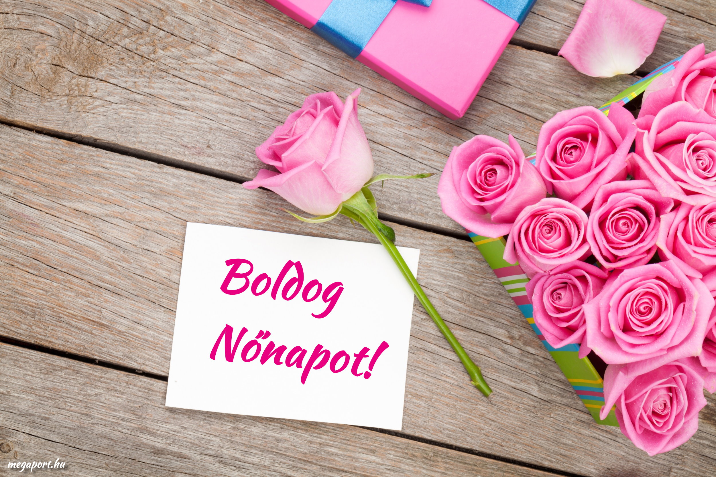 nonap-8607488493