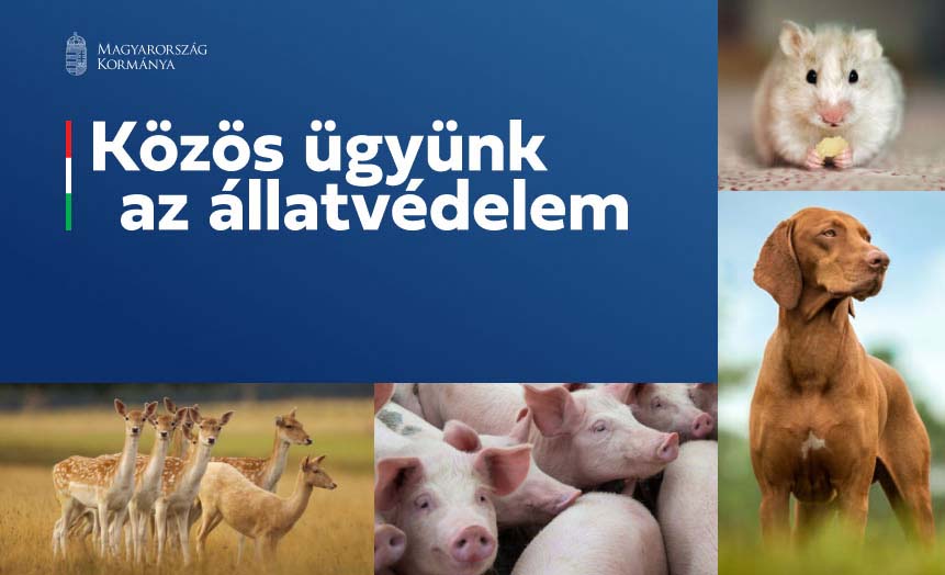 20210221-allatvedelem