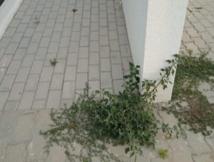 Képernyőkép 2025-07-31 185624